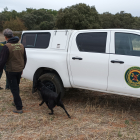 Tres investigados al aparecer muertos por envenenamiento varios animales en una finca de Cantalpino (Salamanca). Ical