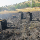 Incendio forestal por el la Guardia Civil investiga a una persona por un supuesto delito de imprudencia grave - ICAL