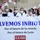Los trabajadores de Inbiotec se concentran en defensa de la supervivencia del Instituto de Biotecnología de León y por el mantenimiento de los puestos de trabajo del personal del centro.  ICAL