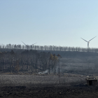 Desoladora imagen que deja el incendio de Losacio en Zamora. ICAL