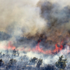 Incendio en Losacio (Zamora). ICAL
