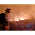 Actuación de los bomberos forestales en el incendio de Boca de Huérgano (León).- ICAL