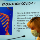 La consejera de Sanidad, Verónica Casado, comparece en rueda de prensa para informar sobre la estrategia de vacunación en relación a la COVID-19.- ICAL