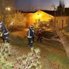 Los bomberos de Palencia retiran un pino de grandes dimensiones que se había derrumbado en la calle Astudillo esquina con la calle Luis de Góngora de la capital, no se han producido daños.- ICAL