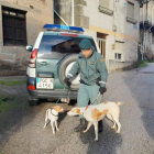 Una patrulla del Seprona rescata a dos perros abandonados sin agua ni comida en el interior de una vivienda de Tremor de Arriba (León). -ICAL