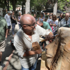 Más de medio centenar de artistas participa en la muestra "Arte Natura" de la Huerta de Guadián de Palencia con motivo de las fiestas de San Antolín de Palencia.- ICAL