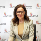 La consejera de Empleo e Industria, Ana Carlota Amigo, mantiene una reunión telemática de coordinación con los responsables del proyecto de prospección laboral en León.- ICAL