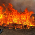 Un bombero de Valladolid en las tareas de extinción de incendios en Zamora.- E. M.