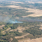 Incendio forestal en Bercianos de Aliste (Zamora) - JCYL