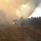 Incendio forestal en Vega de Magaz (León). - JCYL