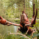 Colocación de una escultura representando un cangrejo gigante en el río Duero a su paso por Soria. -ICAL