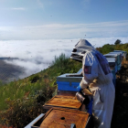 Los apicultores esperaban una recogida mayor «pero al menos nos va a permitir surtir a nuestros clientes».  ECB