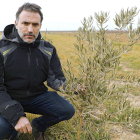 Asier Saiz en la explotación agrícola de referencia cercana a la capital palentina donde se experimenta con almendros y olivos. ICAL