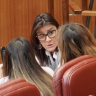 La procuradora del Grupo Parlamentario Socialista, Ana Sánchez.- ICAL