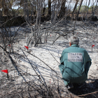 Investigado un operario por causar un incendio forestal en El Espinar (Segovia). - ICAL