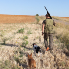 Un cazador de Castilla y León acompañado por sus dos perros.- ICAL