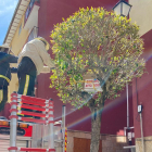Bomberos de Soria retiran un enjambre de abejas en la calle Real. -E.M.