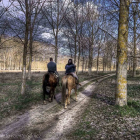 Paseo a caballo por el Espadañal, una gran extensión de agua donde podremos encontrar la más variada fauna de la comarca de Cuéllar.  / JUAN CARLOS DE LA FUENTE