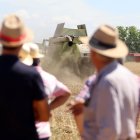 El consejero de Agricultura, Ganadería y Desarrollo Rural, Gerardo Dueñas, presenta los datos de la cosecha de cereal.- ICAL