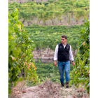 Pedro Ruiz Aragoneses pasea por los viñedos de Viña Meín-Emilio Rojo, en Ribeiro, uno de los proyectos que conforman Alma Carraovejas . - LA POSADA
