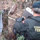 Artefactos explosivos hallados en Monte la Reina, Zamora - Guardia Civil