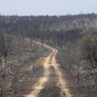 Incendio en la comarca de Tábara. - ICAL