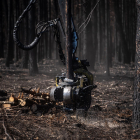El brazo de un tractor trabaja en las labores de retirada de la leña quemada tras un incendio en Sierra de la Culebra. - E. PRESS