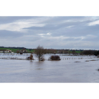 Las fuertes lluvias caídas en la provincia de Salamanca dejan inundaciones en pueblos y campos de cultivo - ICAL