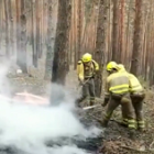 El equipo de extinción asegura y refresca perímetros en el incendio de Zamora. -E. M.