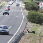 Restos de ruedas en el lugar  de la A-62 en el que se produjo el accidente. PHOTOGENIC/ JOSÉ C. CASTILLO