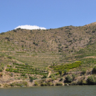 Paisaje de una de las laderas del Duero-Douro en la Raya con Portugal.- E. M.