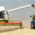 Una cosechadora corta el cereal y arroja el grano en un remolque para su almacenaje. PQS / CCO
