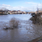 Imagen de ayer del río Ebro a su paso por Miranda de Ebro en Burgos. ICAL