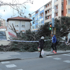 Efectos de las fuertes rachas de viento en Palencia