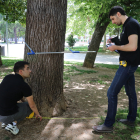 El responsable de ingeniería Sanpe, David Santos ; y el ingeniero forestal, Mario Lamela, analizan y miden árboles en el parque del Salón de Isabel II.