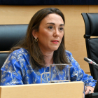 La consejera de Movilidad y Transformación Digital, María González Corral, durante su comparecencia en las Cortes.