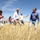 Gerardo Dueñas presenta la previsión de cosecha de cereal de invierno. ICAL