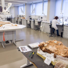 Laboratorio de Conservación y Restauración de piezas del Cenieh.