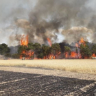 Imagen del incendio de Los Rábanos en Soria
