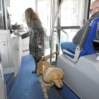 Una persona invidente accede al autobús con su perro guía, en una imagen de archivo.