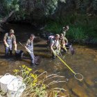 Agentes medioambientales de la Junta de Castilla y León y celadores de la Reserva de Caza de Urbión rescatan ejemplares de especies piscícolas que se encontraban en pozas aisladas en el río Tera