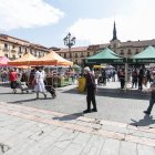 Primera jornada de reapertura del mercado de frutas y verduras de la Plaza Mayor de León