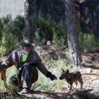 Ejemplares de lobo en el Centro del Lobo Ibérico de Castilla y León.