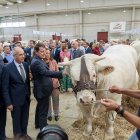 El presidente de la Junta en la inauguración de la Feria del Sector Agropecuario Salamaq 2024. JUNTA