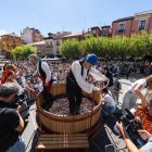 Pisado de la uva en la Gran Fiesta de la Vendimia de la D.O. Ribera del Duero