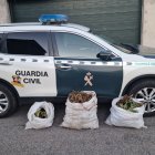 Kilos incautados por las autoridades