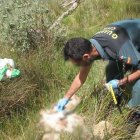 La Guardia Civil durante la investigación de la muerte de dos perros en Zamora.