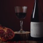 Entrecanales Domecq e Hijos ultima su nuevo proyecto en Ribera del Duero.