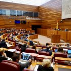 Pleno de las Cortes de Castilla y León.