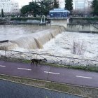 Crecida del río Bernesga a su paso por León.